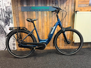 Stella Livorno 2024 €1599,-