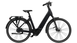 Vyber Xcite 2026 word verwacht